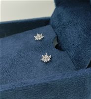 Orecchini Ambrosia Donna in Oro Zirconia AOZ493 - AOZ493